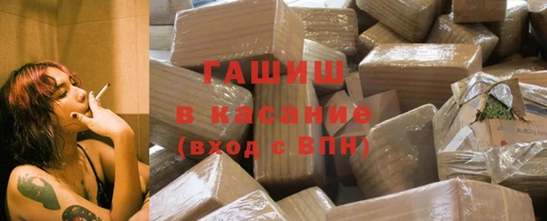 сатива Магас