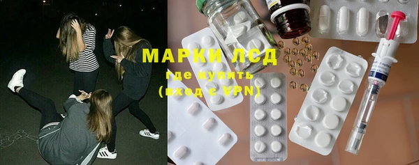 сатива Магас