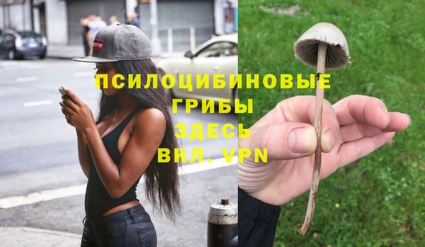 герыч Майский