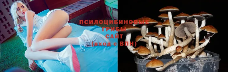 Галлюциногенные грибы Magic Shrooms Струнино