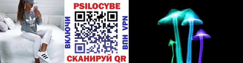 omg вход  Струнино  Псилоцибиновые грибы ЛСД 